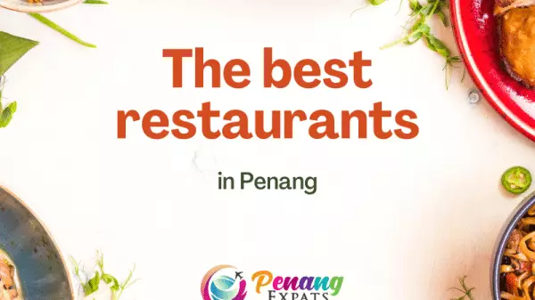 The best restaurants