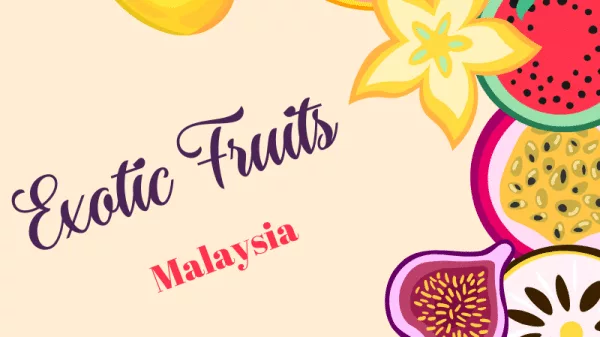 Exotic Fruits of Malaysia