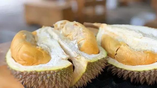 Exotic fruits of Malaysia